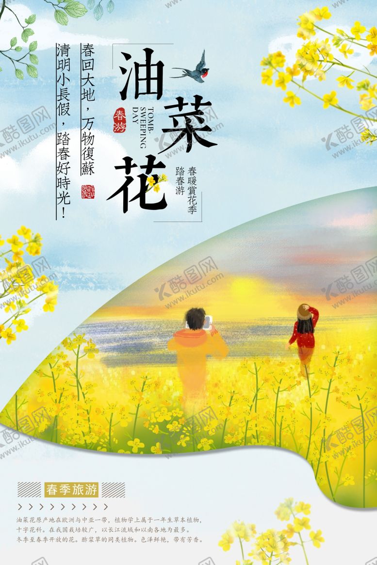 编号：47536610211828207350【酷图网】源文件下载-油菜花