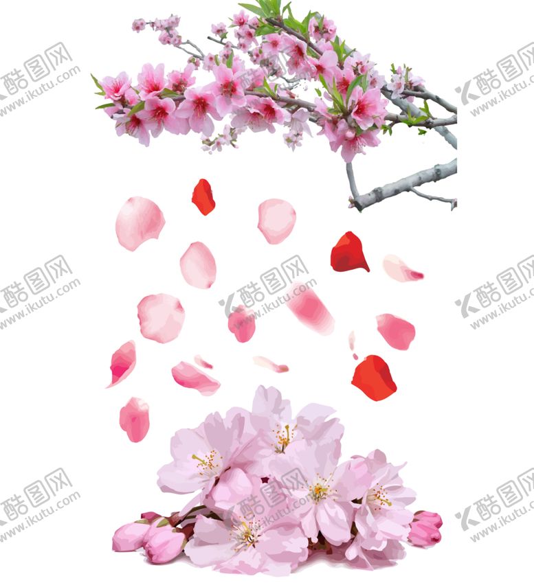 编号：80483010051528379130【酷图网】源文件下载-桃花