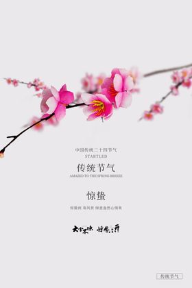 惊蛰微信贴片宣传画面简约节宣传海报