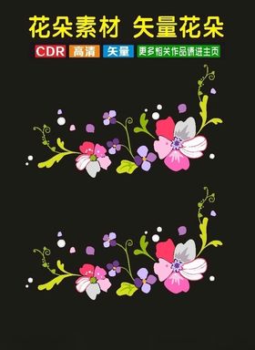 植物花卉花朵树叶
