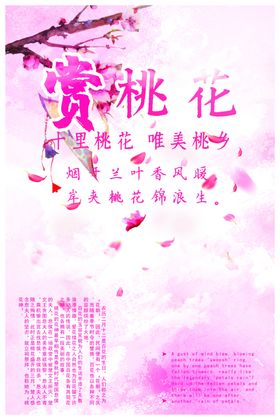 新春祈福九华山赏千亩桃花盛宴