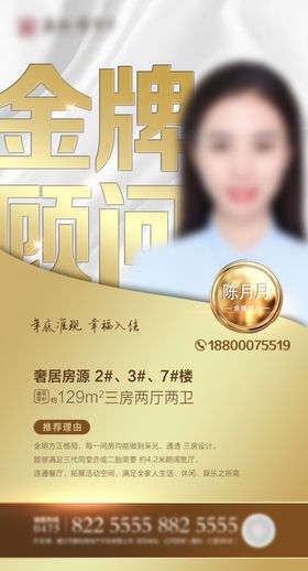 金牌顾问