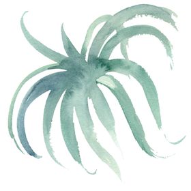 免扣植物素材图片藤蔓手绘花朵树丛园林设计