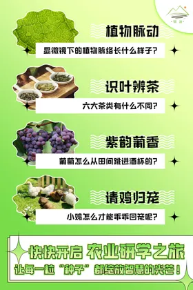 卡通招商教育研学活动海报