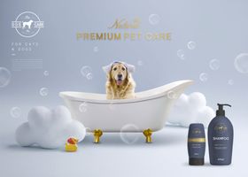 宠物狗粮海报