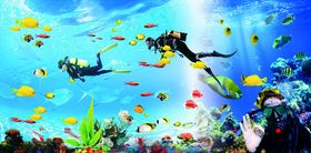 海底世界