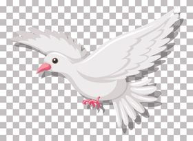 卡通小鸟