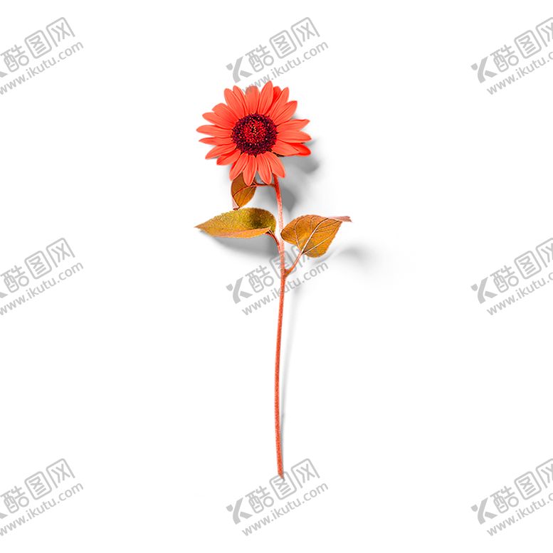 编号：11905405110203194280【酷图网】源文件下载-鲜花素材