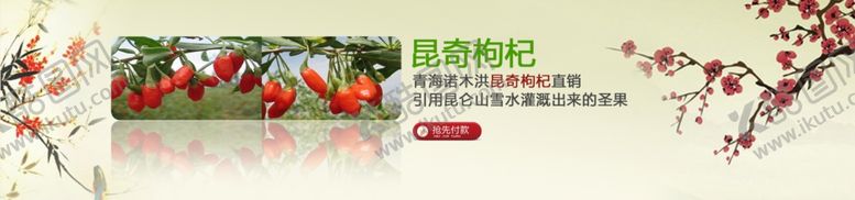 编号：47205304200821458510【酷图网】源文件下载-养生枸杞直销打折爆款促销图