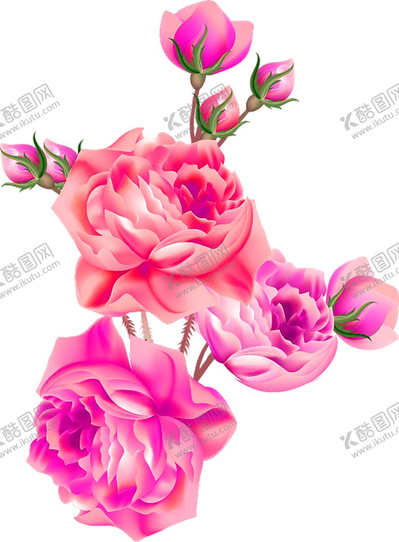编号：21105805060737308706【酷图网】源文件下载-鲜花素材