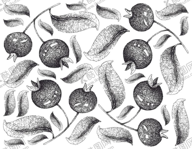 编号：99670010112248218104【酷图网】源文件下载-线描植物