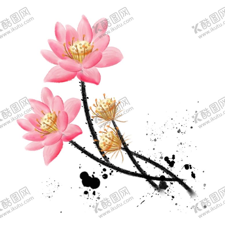 编号：38473603210637376067【酷图网】源文件下载-荷花