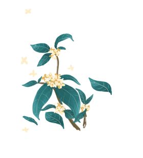 桂花