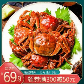 双十二打折海报首页12