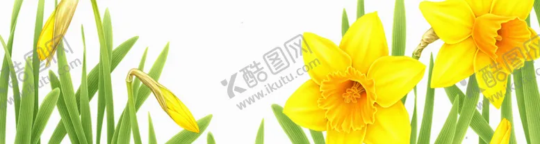 编号：97990107091144332776【酷图网】源文件下载-北欧简约田园植物花卉床头装饰画