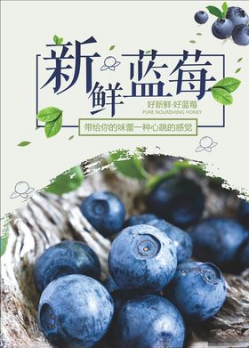 蓝莓海报