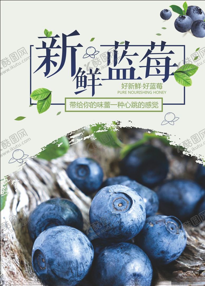 编号：30590410040713193117【酷图网】源文件下载-蓝莓海报
