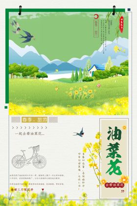 油菜花