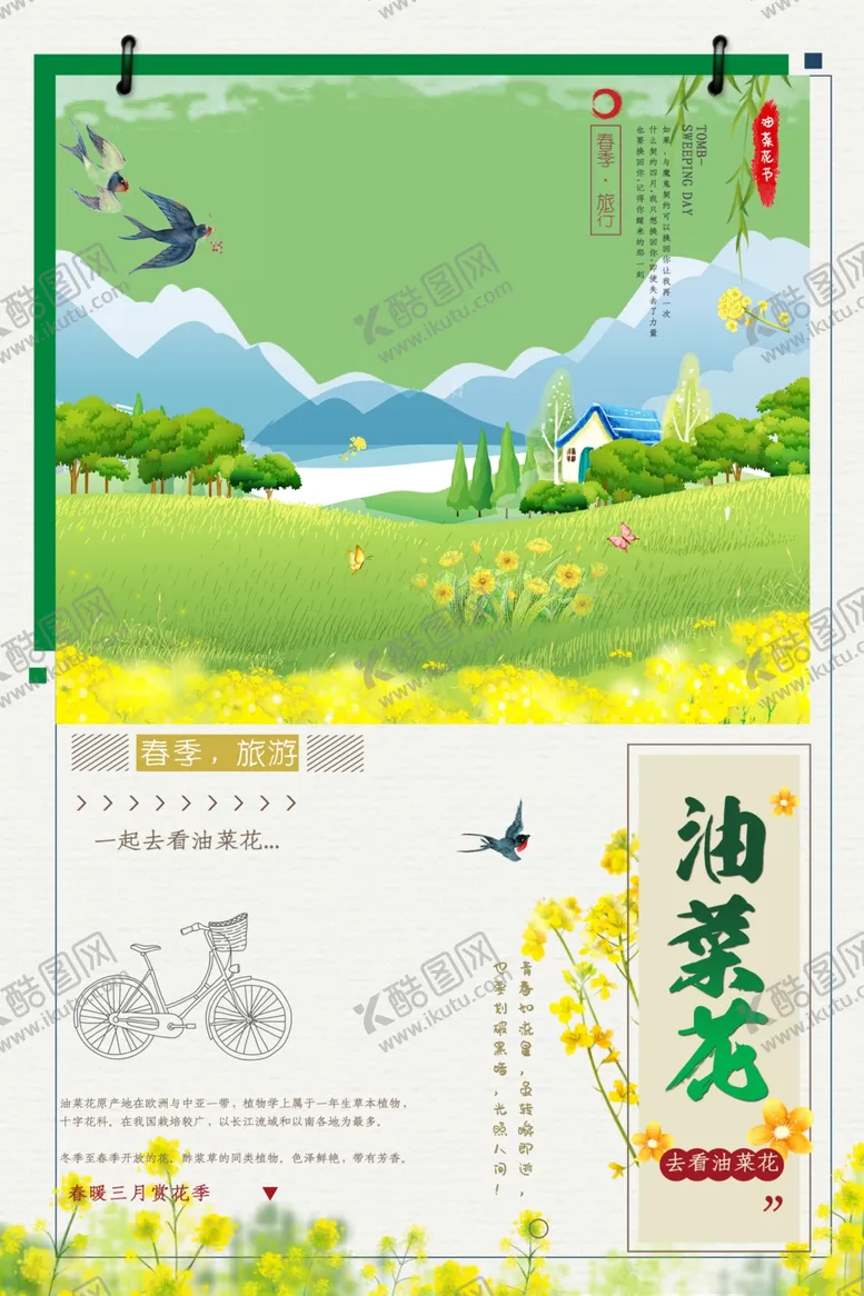 编号：38780006241600592928【酷图网】源文件下载-油菜花