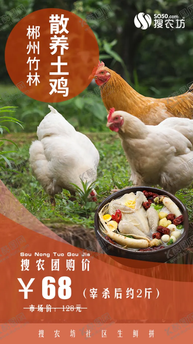 编号：94233904241348287523【酷图网】源文件下载-郴州竹林散养土鸡1只