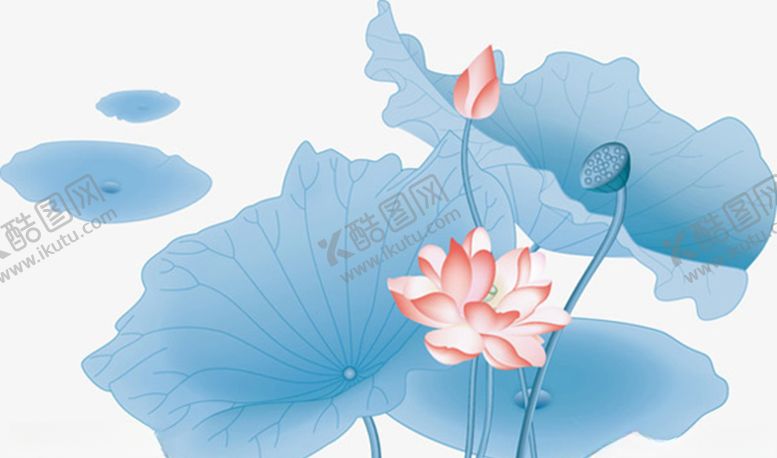 编号：33284207141430265121【酷图网】源文件下载-荷花