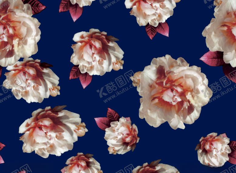 编号：84708609252136198918【酷图网】源文件下载-手绘花