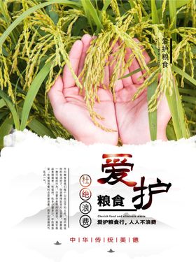 爱惜粮食