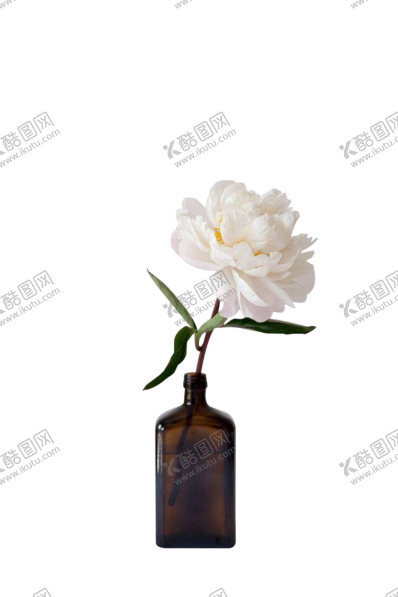 编号：99243905081253367658【酷图网】源文件下载-花瓶