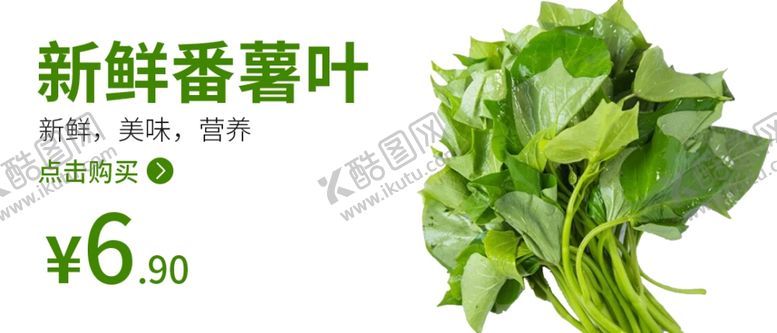 编号：80919309291918158560【酷图网】源文件下载-番薯叶食品海报蔬菜