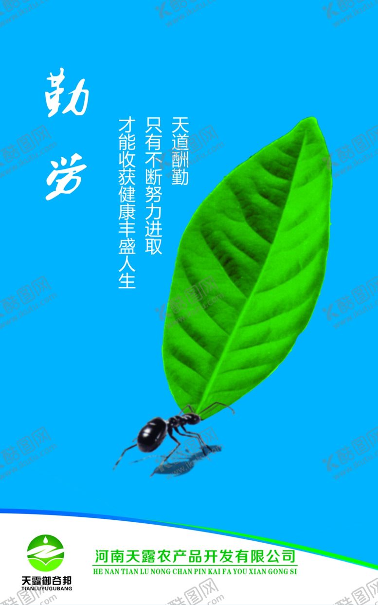 编号：70597503230739587249【酷图网】源文件下载-企业文化展板