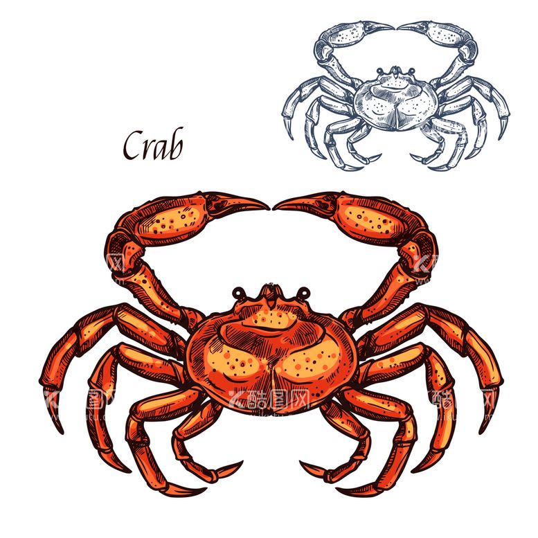 编号：40996310261907171476【酷图网】源文件下载-卡通螃蟹