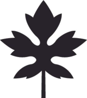 植物系列掌形树叶