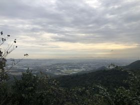 人物女生跑步机运动清晨矢量素材