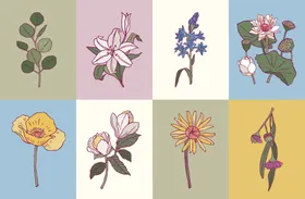 手绘花卉植物水彩叶子插画束