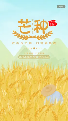 芒种农忙稻穗稻田