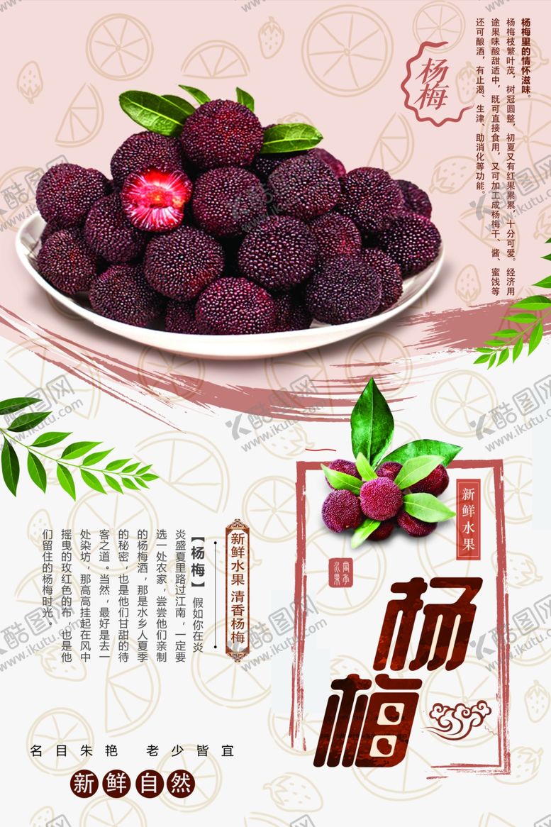 编号：19112401220644217049【酷图网】源文件下载-杨梅