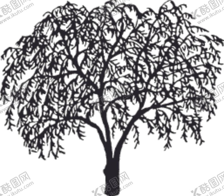 编号：84058509280953534571【酷图网】源文件下载-植物系列树木