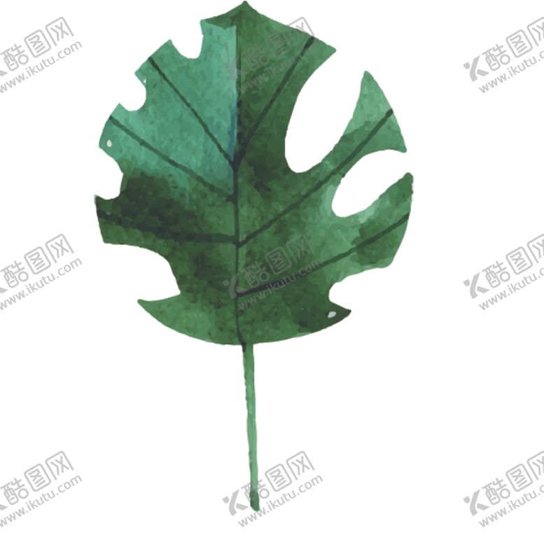 编号：51805709221604152532【酷图网】源文件下载-绿色水彩植物树叶