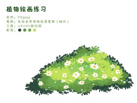 灌木从小白花植物手绘小清新