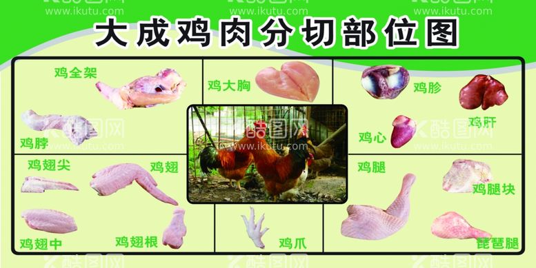 编号：82546812011009344199【酷图网】源文件下载-鸡肉分切图