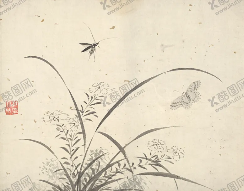 编号：63696806302135529365【酷图网】源文件下载-植物花朵工笔画
