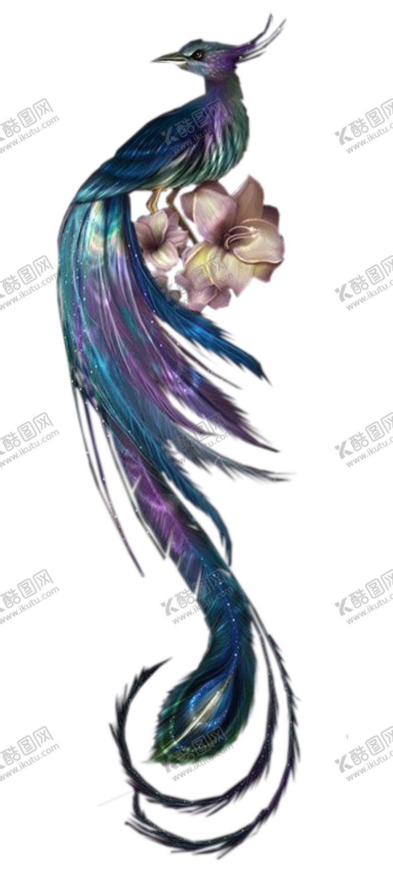 编号：85042604171128147687【酷图网】源文件下载-手绘水彩凤凰