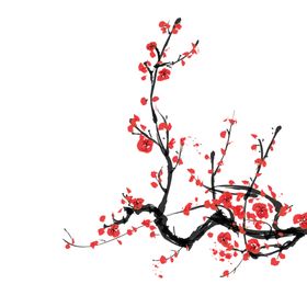 中国风水墨梅
