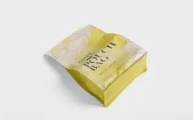 手提袋包装设计样机