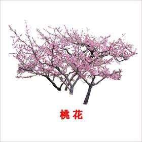 手绘桃花