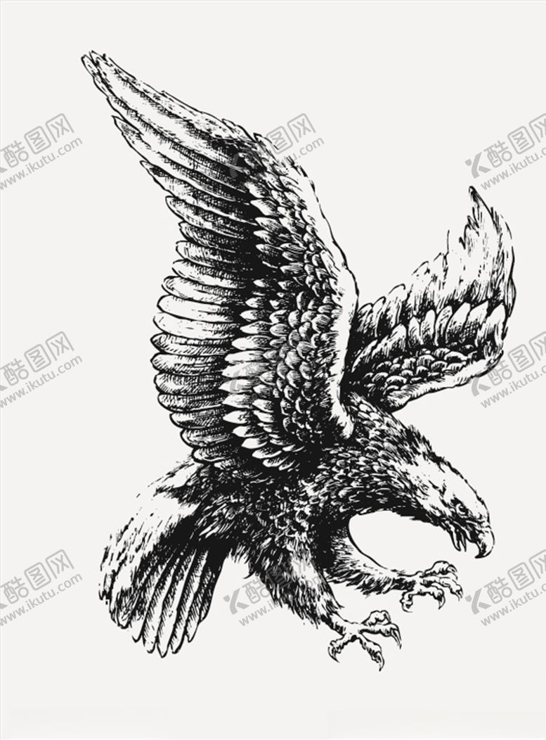 编号：78217903282242541554【酷图网】源文件下载-老鹰