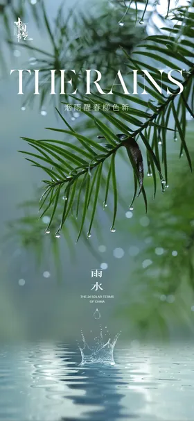 雨水海报