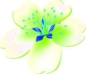 花素材朵小清新朵朵底纹