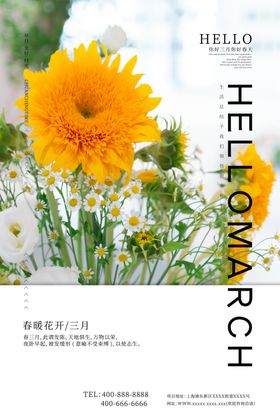 你好春天