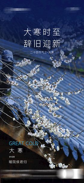 地产寒露节气微单飞机稿